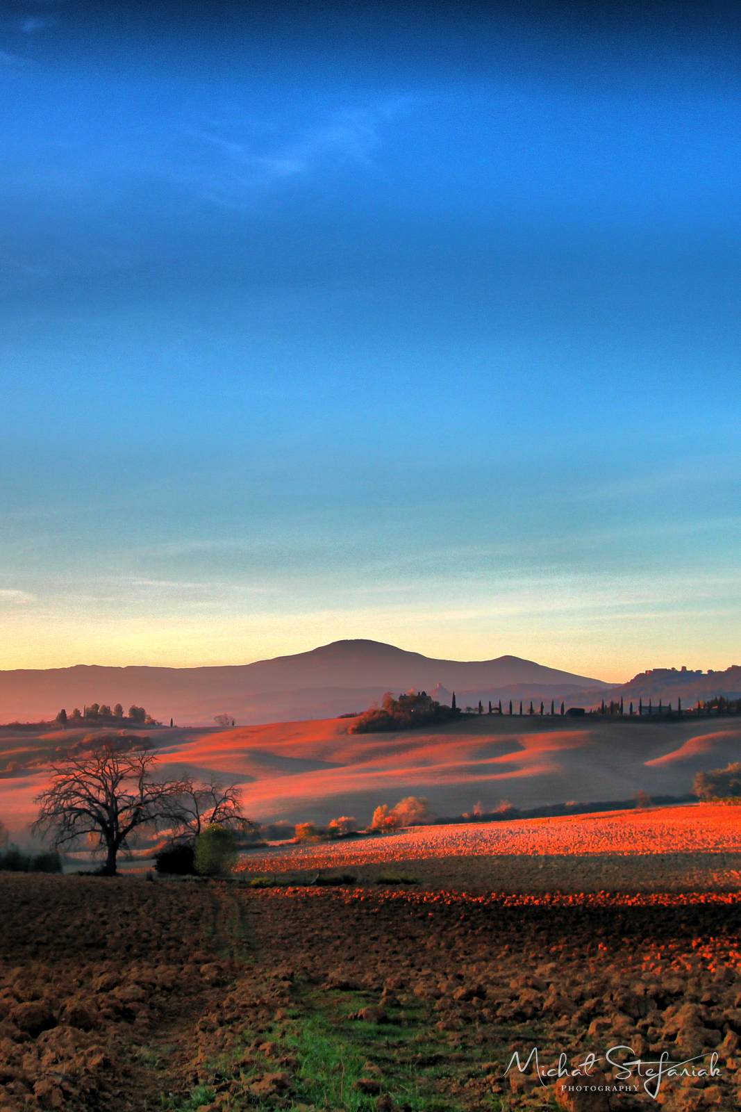 IMG 4857 8 9DP ULYTA CONr HPR